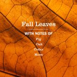 Fall Leaves Dish Soap - Image 4