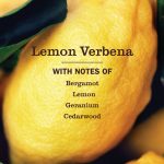 Lemon Verbena Automatic Dish Pacs - Image 3