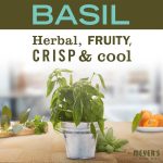 Basil Automatic Dish Pacs - Image 3