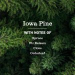 Iowa Pine Plug In Scented Oil Warmer With Refill - Image 5