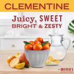 Clementine Daily Bar Soap - Image 3