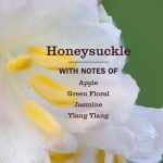 Honeysuckle Dish Soap - Image 4