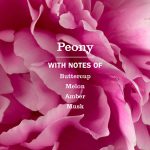 Peony Liquid Hand Soap & Refill Set - Image 2