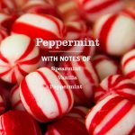 Peppermint Dish Soap 3-count Bundle - Image 4