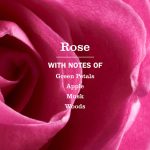 Rose Kitchen Basics Set - Image 4