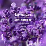 Lavender Liquid Hand Soap Refill - Image 4