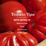 Tomato Vine Multi-Surface Everyday Cleaner 3-count Bundle - Image 4