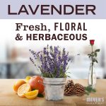 Lavender Foaming Hand Soap Concentrate Refills 2-Pack - Image 3