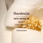 Gardenia Liquid Hand Soap - Image 4