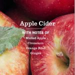Apple Cider Liquid Hand Soap 3-count Bundle - Image 4
